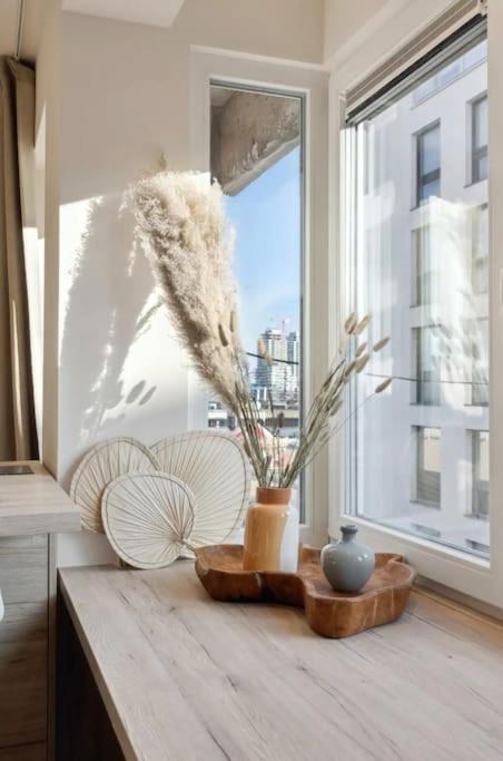 Michelle - Recent Gerenoveerd Stijlvol Appartement 奥斯滕德 外观 照片